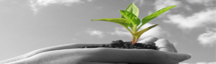Audit, Accounting, Tax Consultants